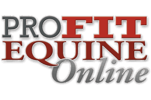 Pro Fit Equine